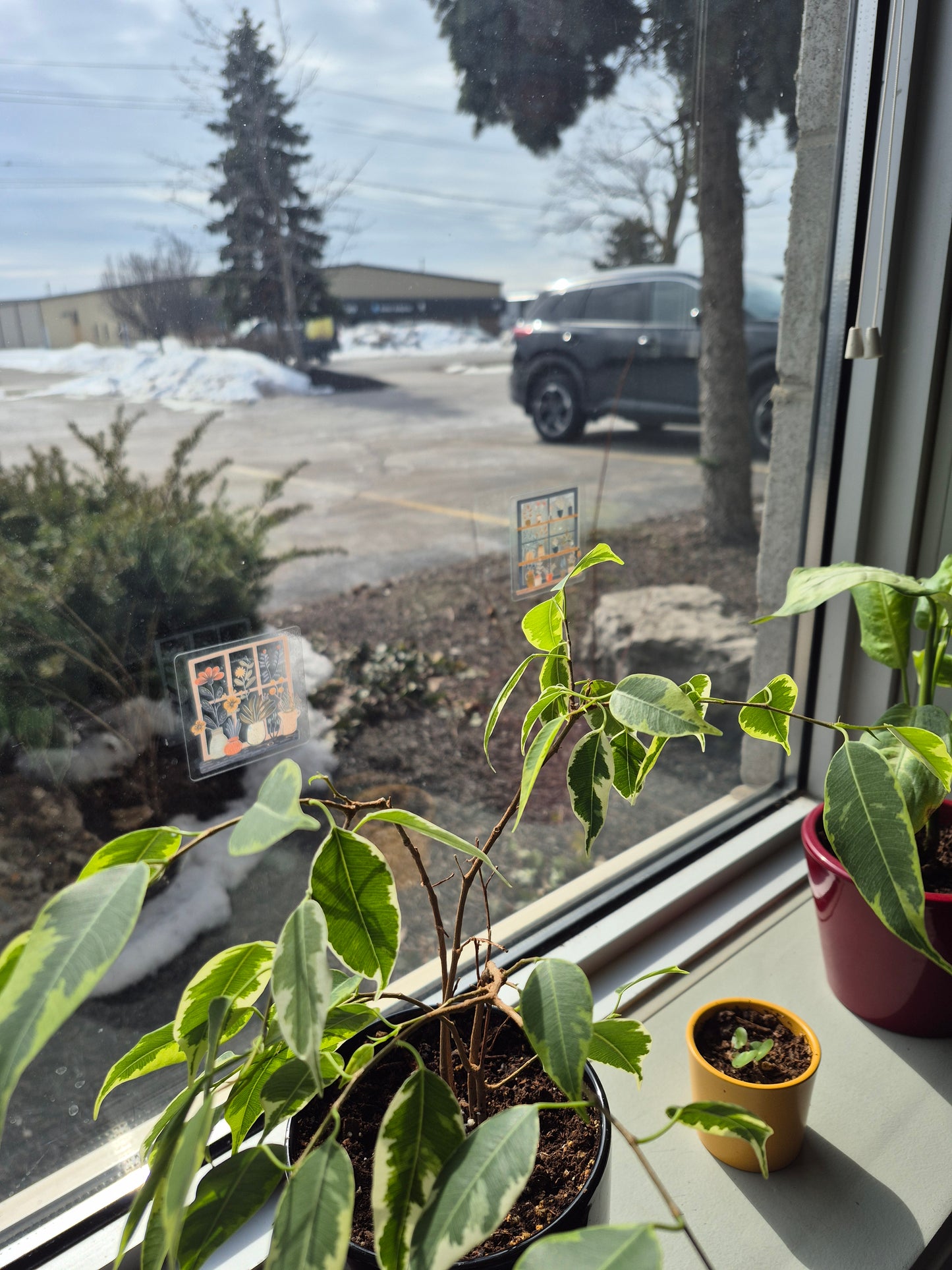 Looking Through the Garden Window Sticker