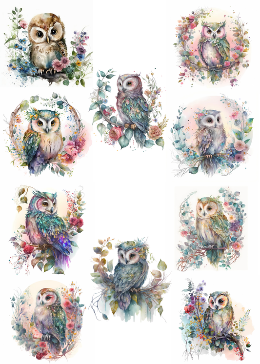 Cute Owls Notepad