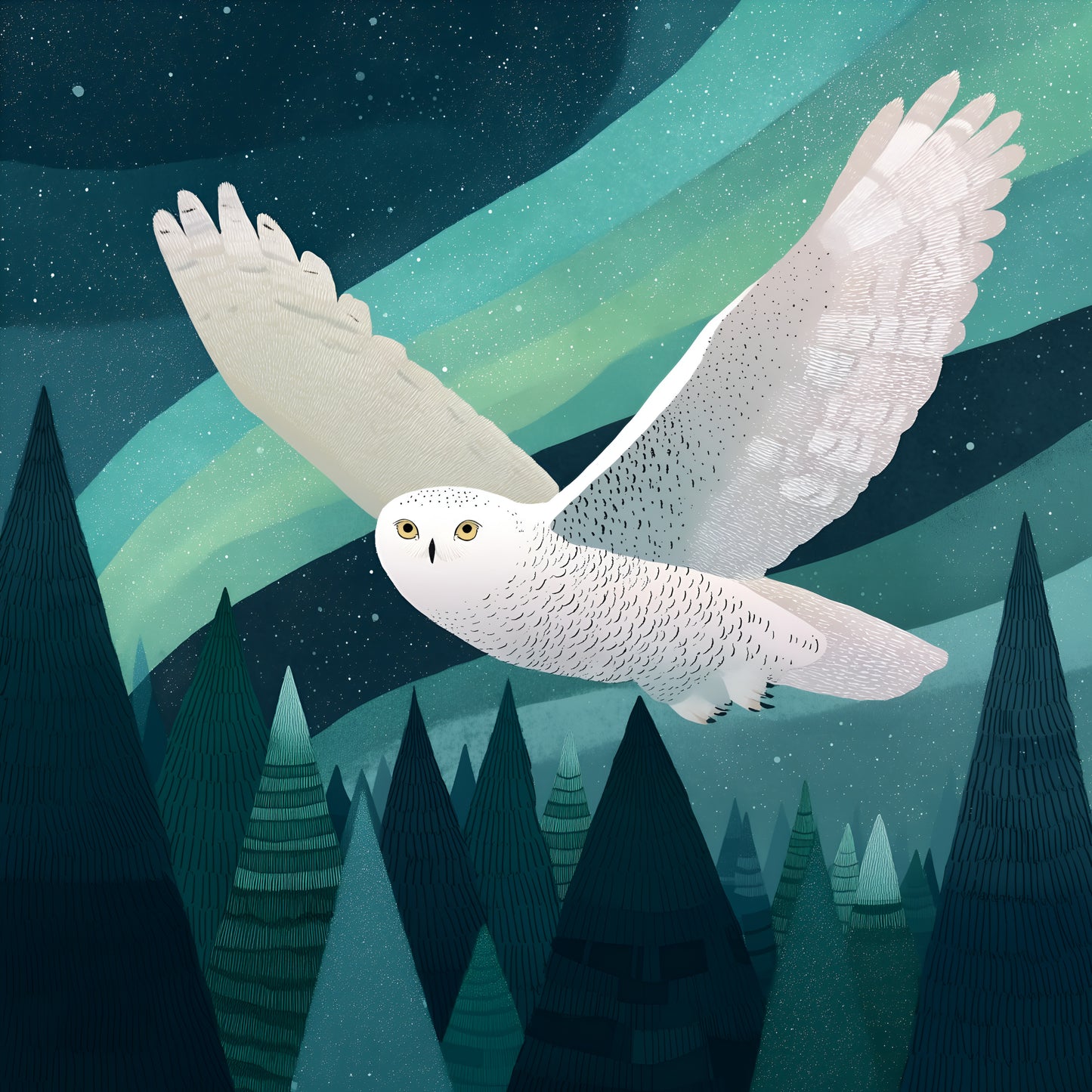 Winter Prints - Northern Lights