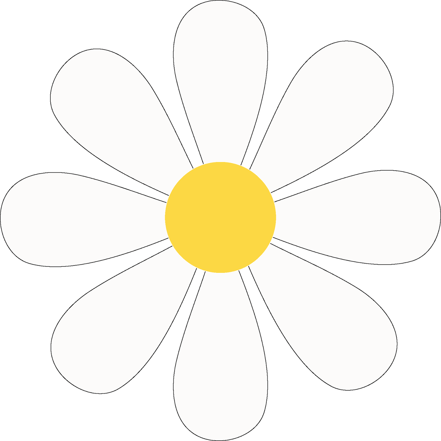 White Daisy Car Magnet