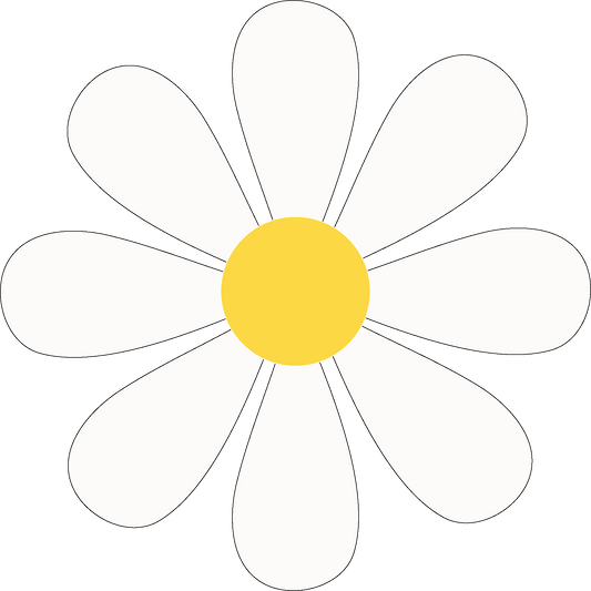 White Daisy Car Magnet